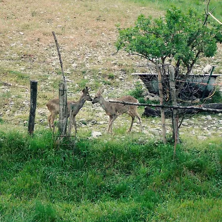 La Corte Del Segrino B&B Canzo