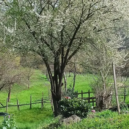 La Corte Del Segrino Bed & Breakfast Canzo