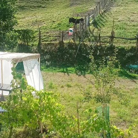 La Corte Del Segrino 3* Canzo