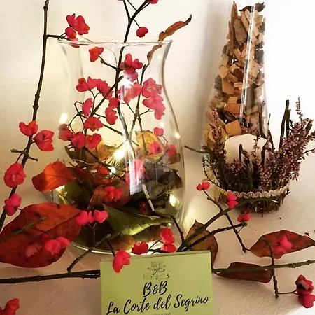 La Corte Del Segrino 3*