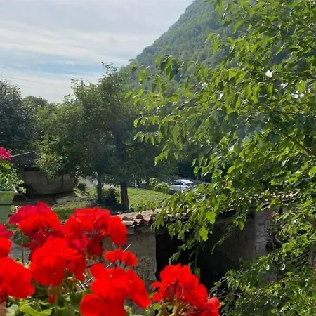 La Corte Del Segrino Bed & Breakfast