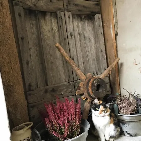 La Corte Del Segrino 3*