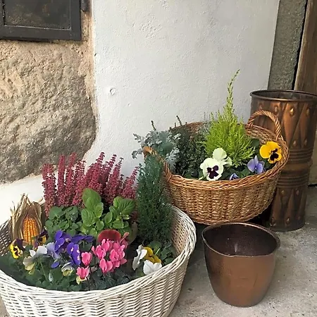 La Corte Del Segrino לינה וארוחת בוקר Canzo
