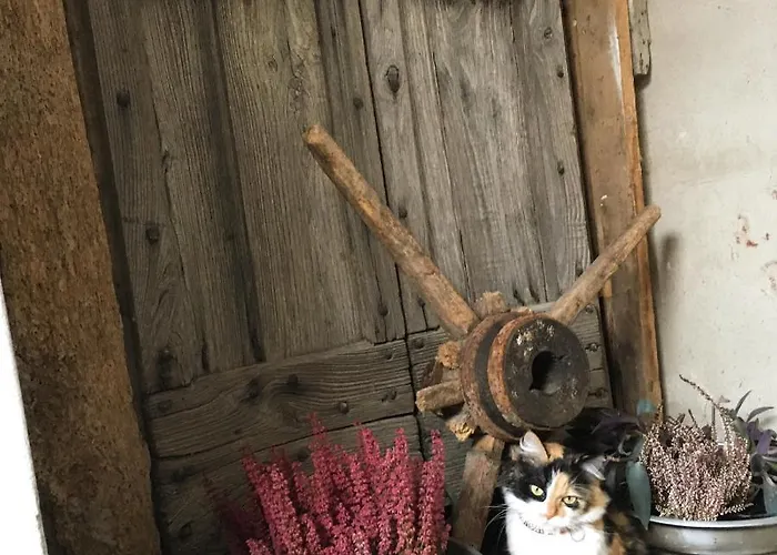 La Corte Del Segrino 3* Canzo