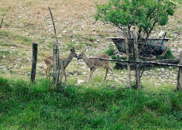 La Corte Del Segrino Отель типа 