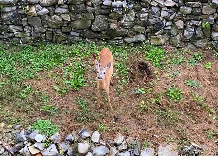 La Corte Del Segrino Отель типа 