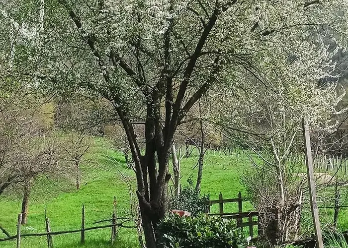 La Corte Del Segrino Отель типа 