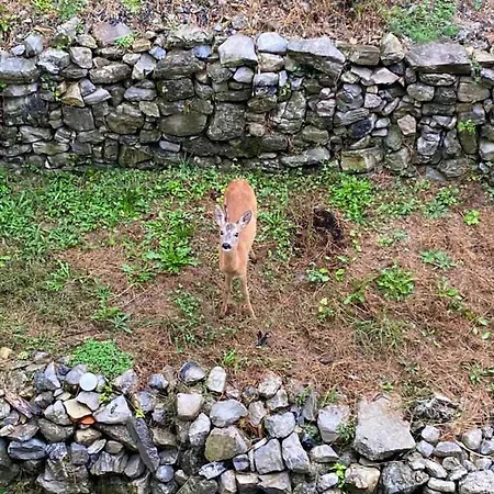 La Corte Del Segrino Couette-café