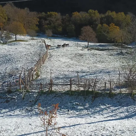 La Corte Del Segrino 3* Canzo