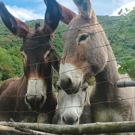 Couette-café La Corte Del Segrino 3*