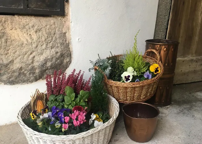 La Corte Del Segrino Canzo