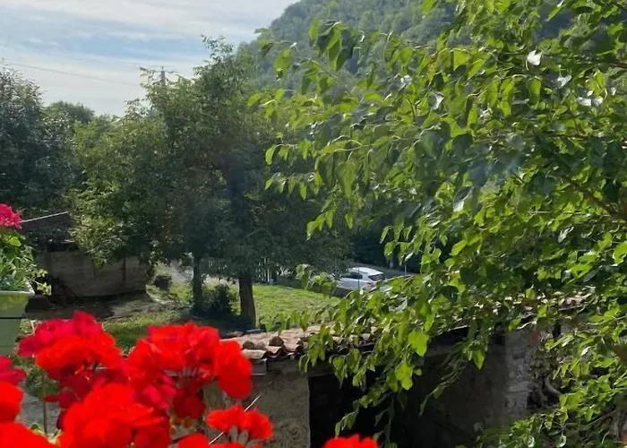 La Corte Del Segrino Bed and breakfast
