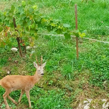 La Corte Del Segrino 3*